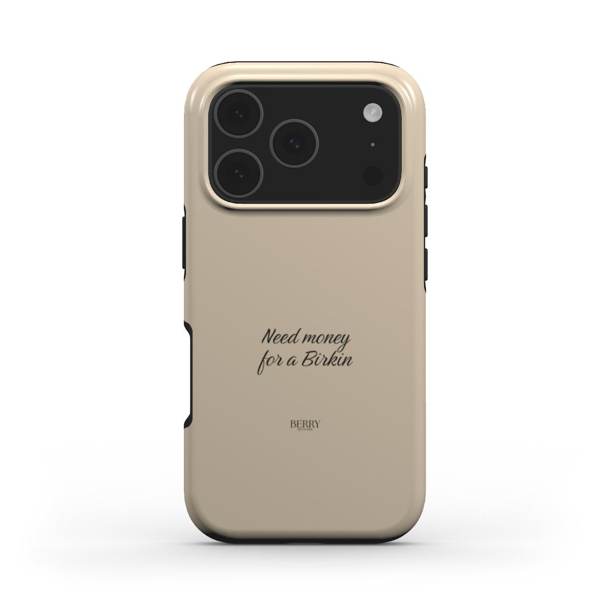 Need Money For A Birkin Teddy