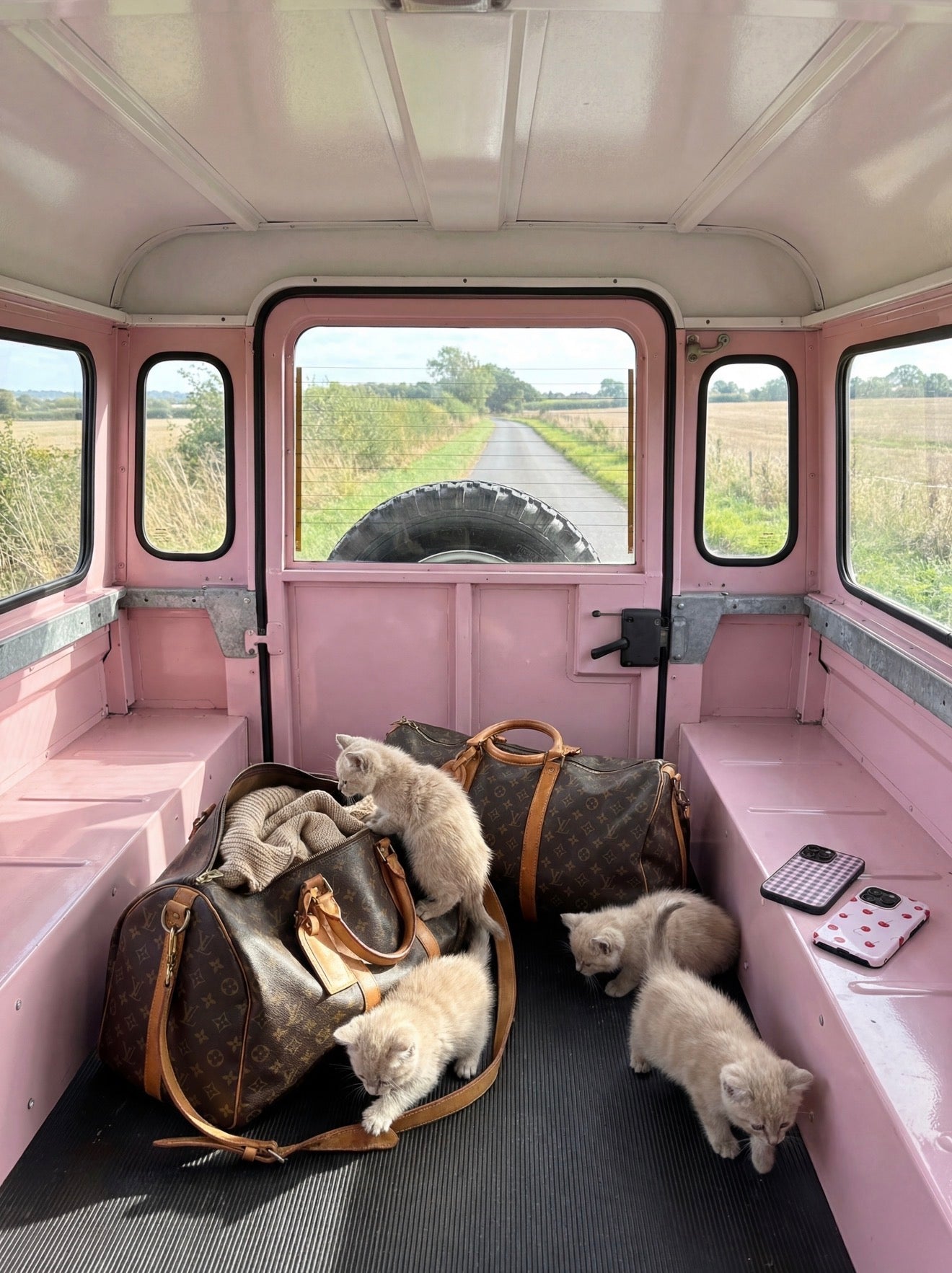 Four light pink kittens playing around stylish brown bags and a pink patterned phone case inside a vintage pink vehicle interior.